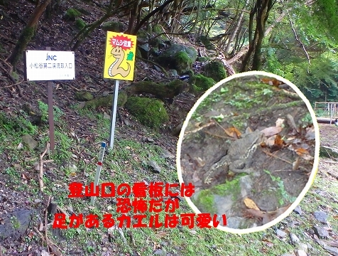 f0193521_1140419.jpg
