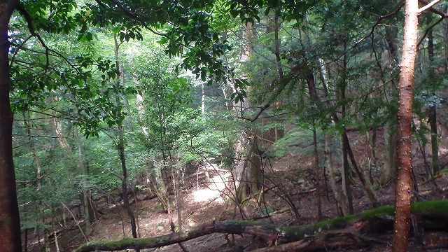 f0193521_11415248.jpg