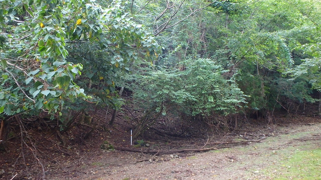 f0193521_1145152.jpg