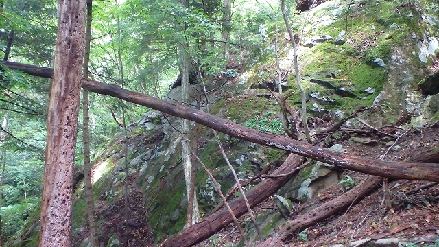 f0193521_1147940.jpg
