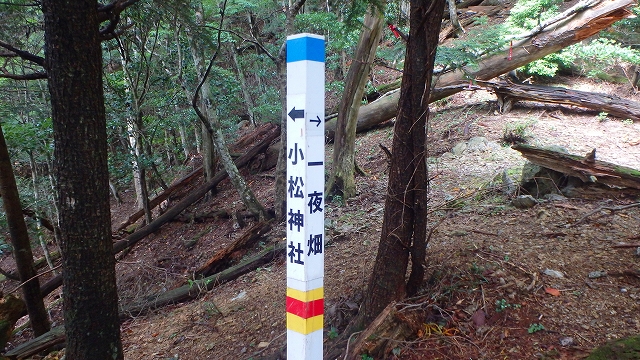 f0193521_11505080.jpg