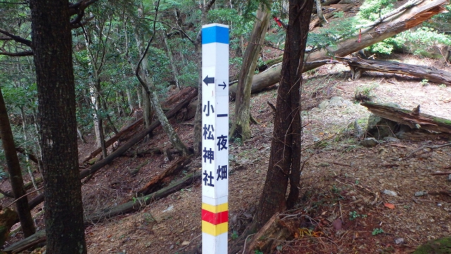 天主山(北内谷林道使用）_f0193521_11505080.jpg