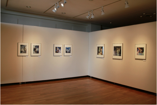 東川町文化ギャラリーで開催中の写真展_b0187229_1928021.png