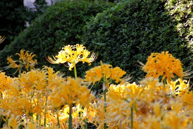 f0348831_20043603.jpg