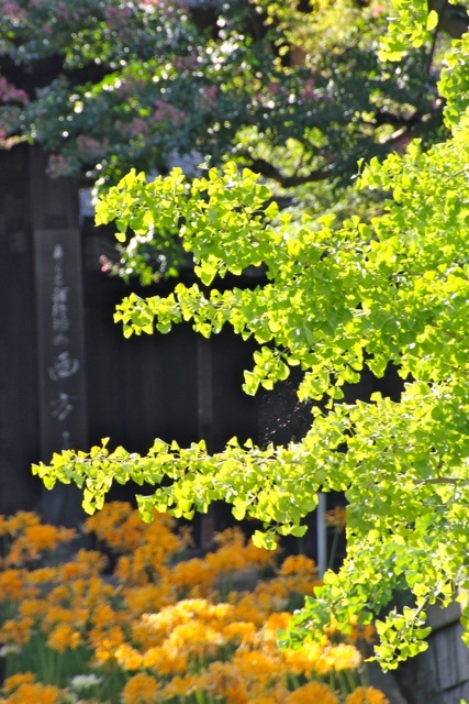 f0348831_20045198.jpg