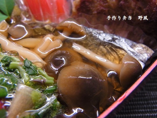 b0244034_12000103.jpg