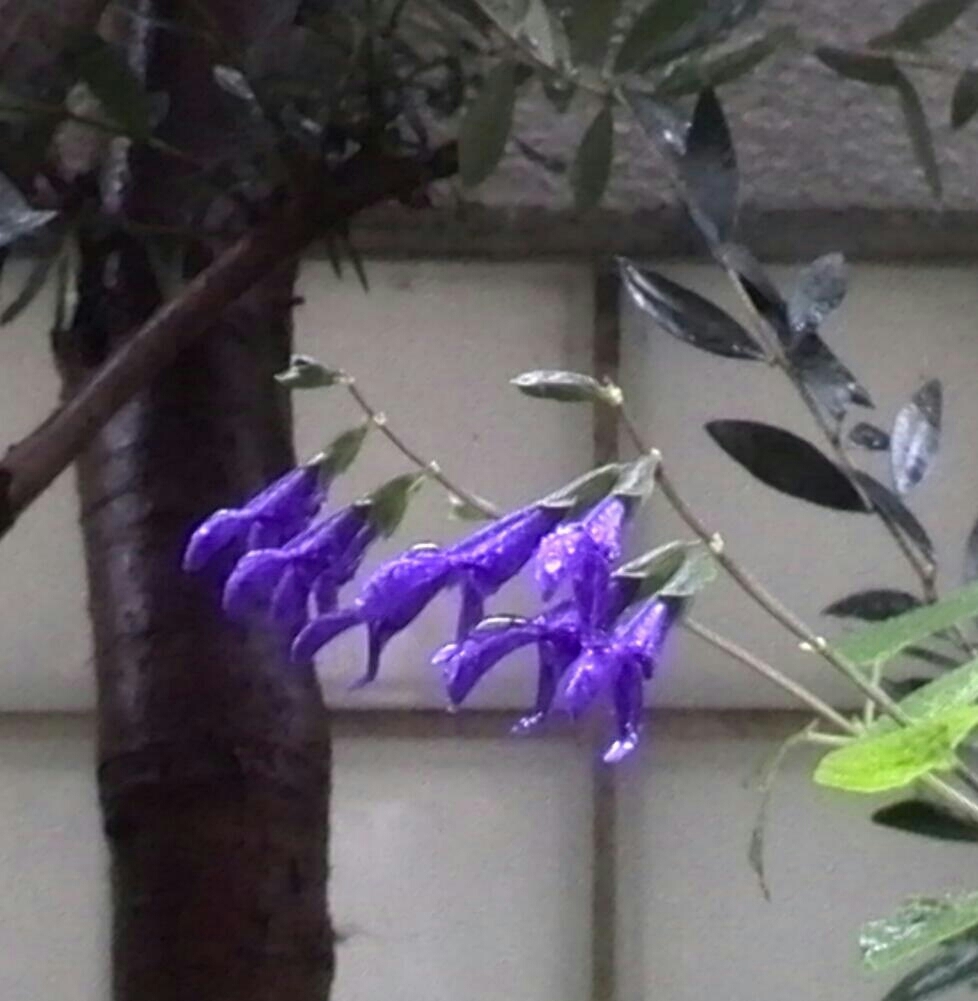 c0348441_17334734.jpg