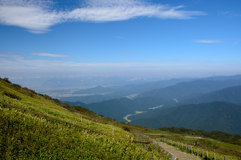 d0164443_9571154.jpg