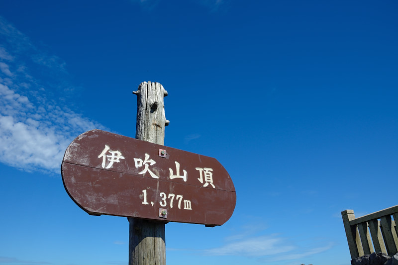 d0164443_9583235.jpg