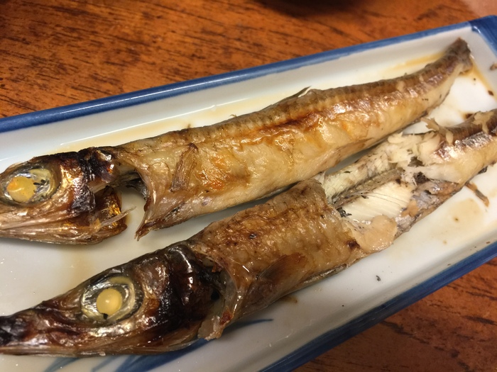メギスがあまりにも美味しかったので食べさしですが撮りましたm(_ _)m_c0110051_9341250.jpg