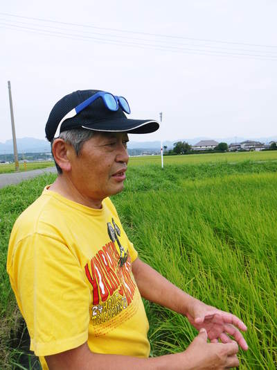 無農薬の『雑穀米』、『発芽玄米』 花咲く様子と雑穀米の稲穂 前編_a0254656_1821132.jpg
