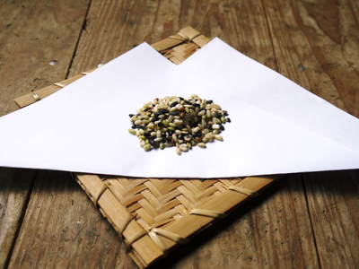 無農薬の『雑穀米』、『発芽玄米』 花咲く様子と雑穀米の稲穂 前編_a0254656_18422755.jpg