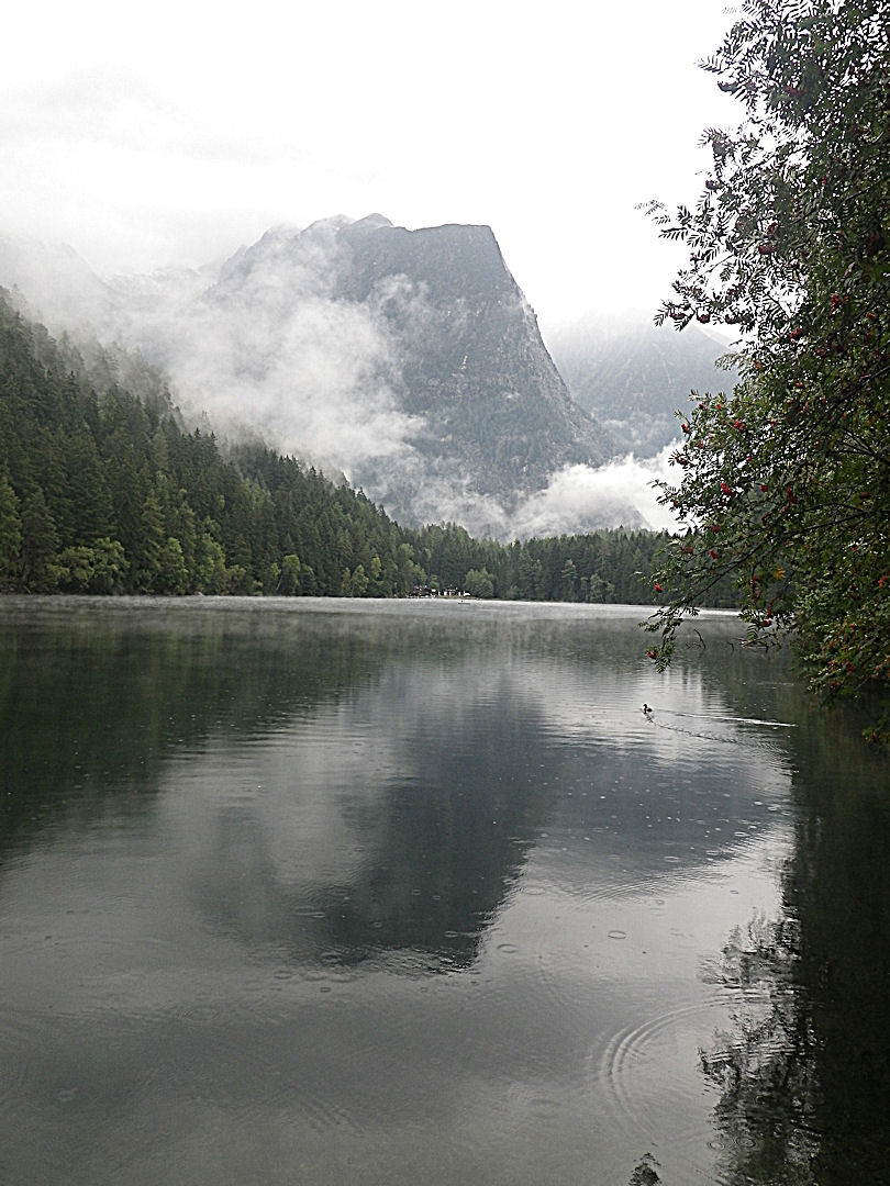 f0156359_21262110.jpg