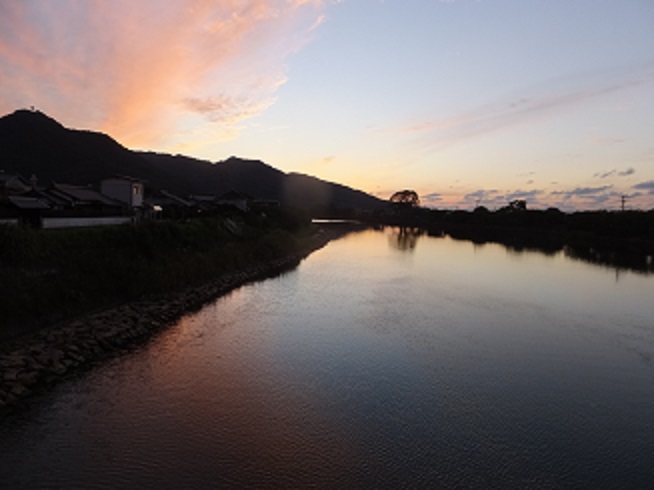 久しぶりに河川公園ウオーキング_f0113862_2034740.jpg