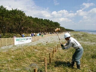 「森林ボランティアの日」森林づくり活動 in くにの松原_b0061863_13561002.jpg