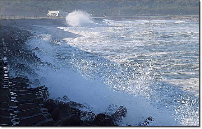 海鳴りの続いた日々。_b0053765_20283431.jpg