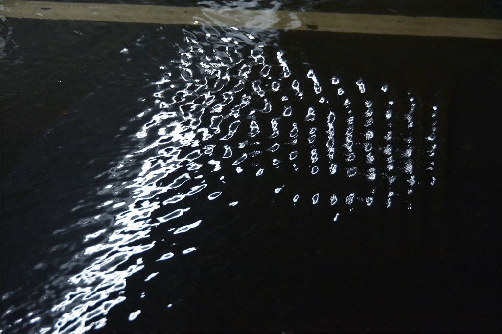 e0169286_20240527.jpg