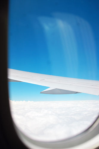 d0159690_1546239.jpg