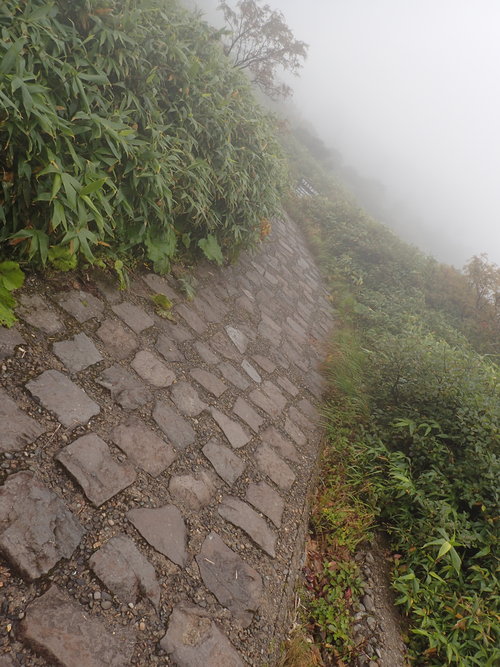 e0241691_021069.jpg