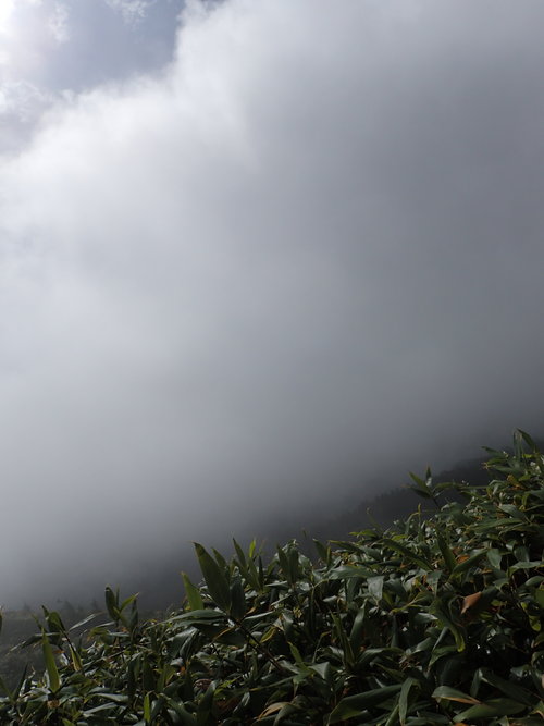 e0241691_0253253.jpg