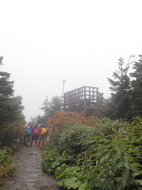 e0241691_0324848.jpg