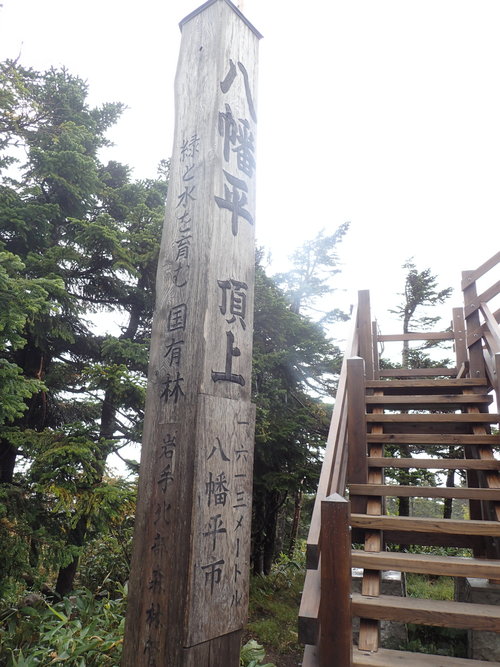 e0241691_0332863.jpg
