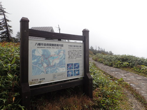 e0241691_038371.jpg