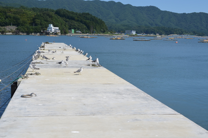 沿岸へ_d0077992_746107.jpg