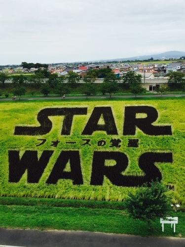 今朝は臨時休業ですよ_a0134394_07382209.jpg