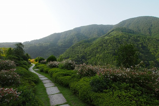 箱根旅行 箱根離宮 日本料理 華暦 夕食/朝食_e0160595_17422546.jpg