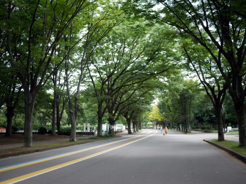 駒沢公園にお散歩&これ又不思議なご縁で_c0090198_1772163.jpg