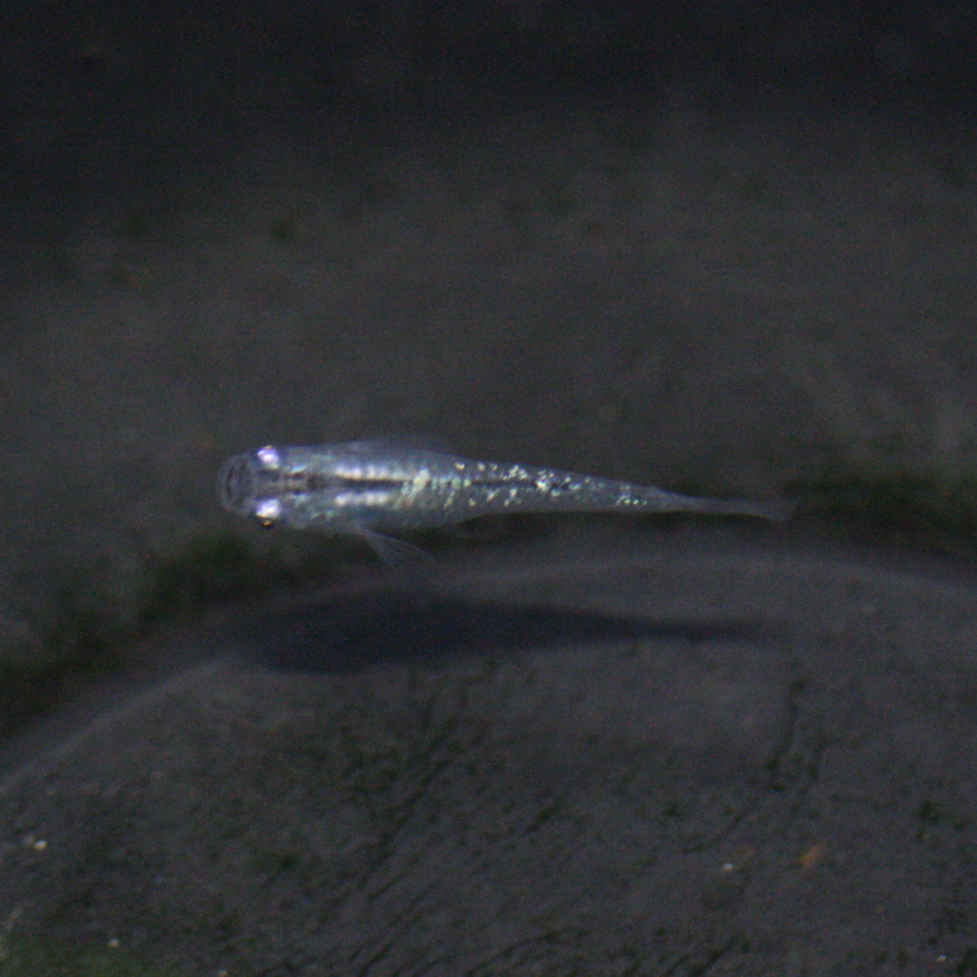 c0165800_1927916.jpg