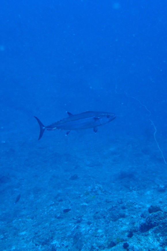 f0121701_1627773.jpg