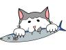 ぼんご君 新生活スタート!_f0242002_214942.jpg