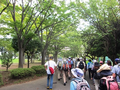 鎌倉歩協　ふれあいウォーク－大船発・舞岡公園へ(2015.09.15)_e0245404_17345214.jpg