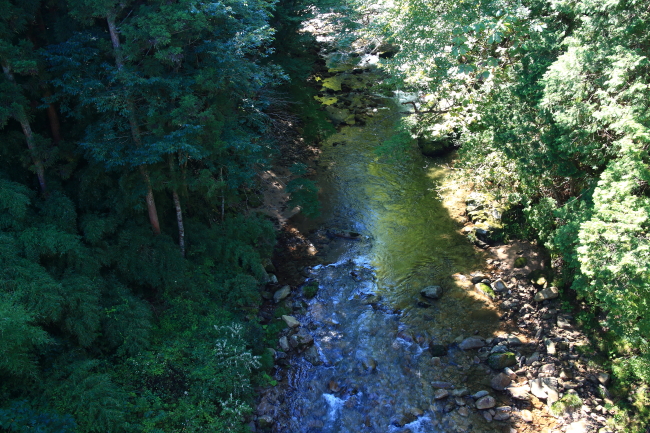 e0174008_17465019.jpg