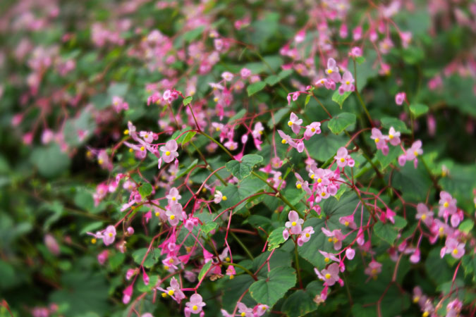 a0263109_1121255.jpg