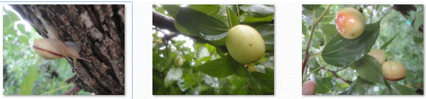 f0231709_1529431.gif