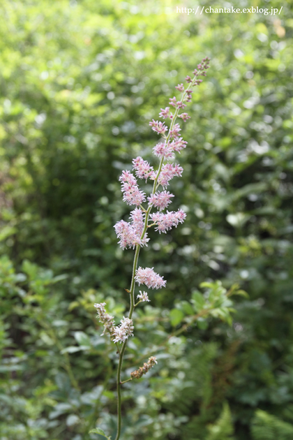 c0189013_674710.jpg