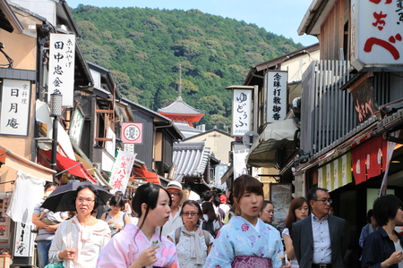 清水寺 青龍会2015_e0048413_1930079.jpg