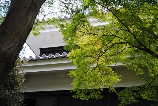 b0209919_2154534.jpg