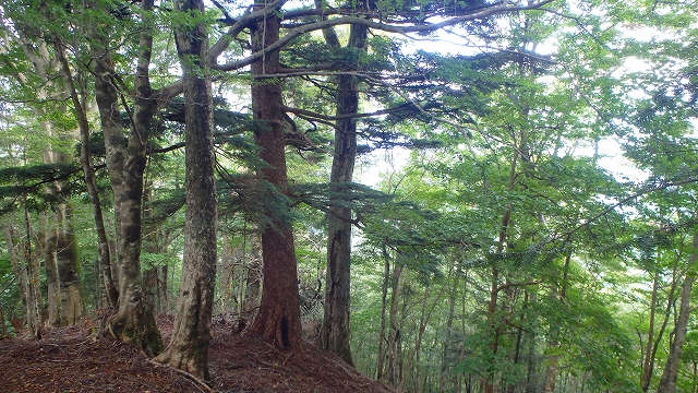 f0193521_7571951.jpg