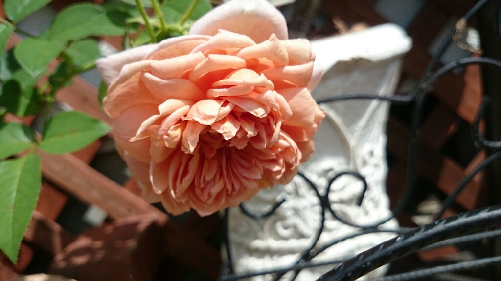 e0263224_00173856.jpg