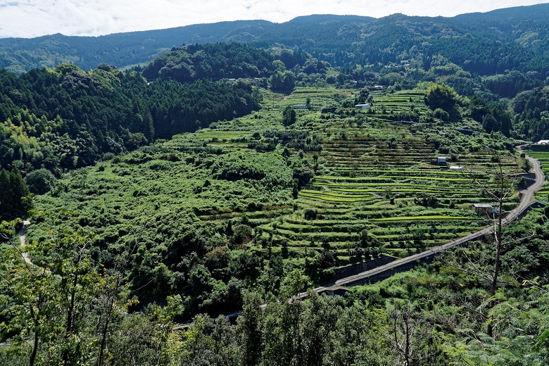 ちょっと寂しい風景_f0274536_832138.jpg