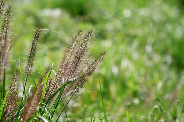 a0242438_18491315.jpg