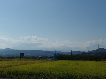 a0014840_233927.jpg