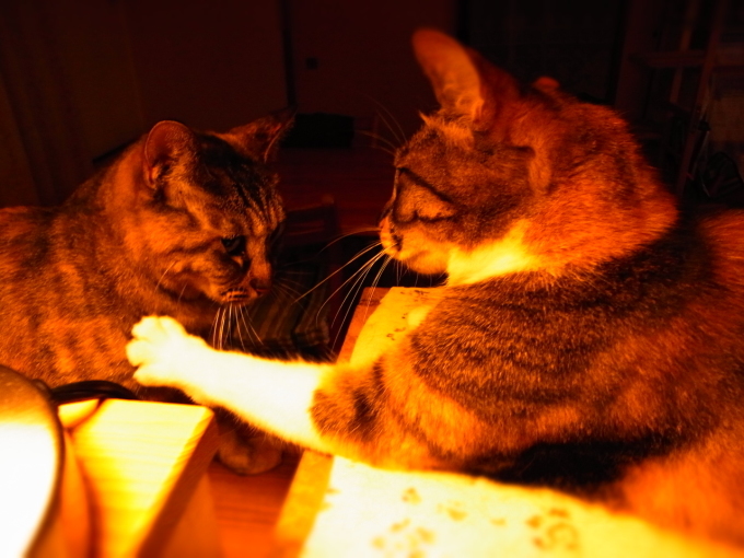 a0305046_10434583.jpg