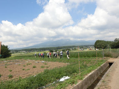 稲絵と村山六ヶ村堰_f0019247_21255694.jpg