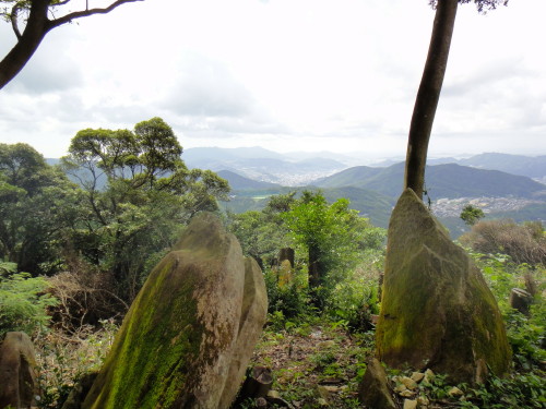 c0179351_10322230.jpg