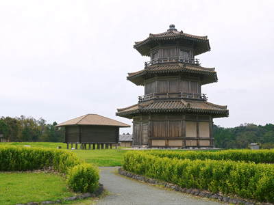 無農薬の『雑穀米』、『発芽玄米』 花咲く様子と雑穀米の稲穂 後編_a0254656_16593025.jpg